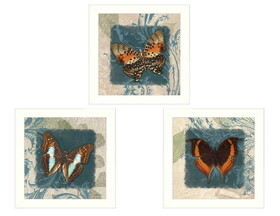 "Butterflies Collection" 3-Piece Vignette by Dee Dee, Printed Wall Art, Ready to Hang Framed Poster, White Frame B06786786