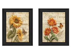 "Flowers Collection" 2-Piece Vignette by Ed Wargo, Printed Wall Art, Ready to Hang Framed Poster, Black Frame B06786798