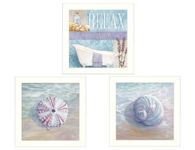 "Shells I Collection" 3-Piece Vignette by Mollie B. and G. Janisse, Printed Wall Art, Ready to Hang Framed Poster, White Frame B06786810