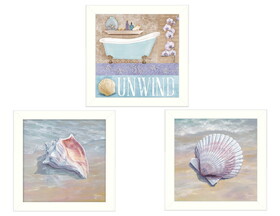 "Shells II Collection" 3-Piece Vignette by Mollie B. and G. Janisse, Printed Wall Art, Ready to Hang Framed Poster, White Frame B06786811