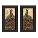 Peacock Collection 2-Piece Vignette by John Jones, Printed Wall Art, Ready to Hang Framed Poster, Black Frame B06786818