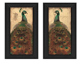 "Peacock Collection" 2-Piece Vignette by John Jones, Printed Wall Art, Ready to Hang Framed Poster, Black Frame B06786818