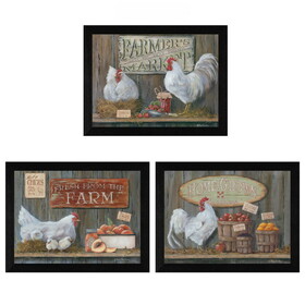 "Farmers Market Collection" 3-Piece Vignette by Pam Britton, Printed Wall Art, Ready to Hang Framed Poster, Black Frame B06786831
