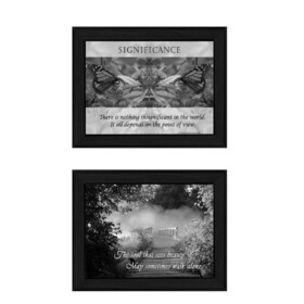 "Beauty Collection" 2-Piece Vignette by Trendy Decor4U, Printed Wall Art, Ready to Hang Framed Poster, Black Frame B06786886