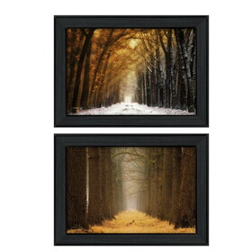 "Golden Forest Path Collection" 2-Piece Vignette by Martin Podt, Printed Wall Art, Ready to Hang Framed Poster, Black Frame B06786938