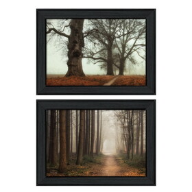 "Misty Trees Collection" 2-Piece Vignette by Martin Podt, Printed Wall Art, Ready to Hang Framed Poster, Black Frame B06786939
