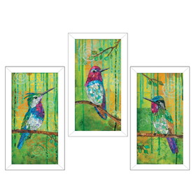 "Three Hummingbirds" Collection by Lisa Morales, Printed Wall Art, Ready to Hang Framed Poster, White Frame B06786982
