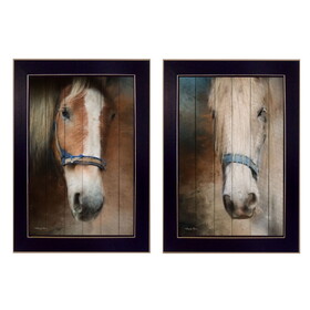 "Two Horses Collection" 2-Piece Vignette by Robin-Lee Vieira, Printed Wall Art, Ready to Hang Framed Poster, Black Frame B06786989