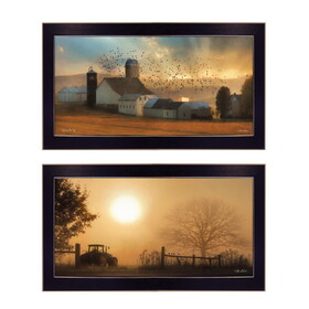 "Light of a New Day Collection" 2-Piece Vignette by Lori Deiter, Printed Wall Art, Ready to Hang Framed Poster, Black Frame B06787008