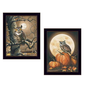 "Autumn Owls Collection" 2-Piece Vignette by John Rossini, Printed Wall Art, Ready to Hang Framed Poster, Black Frame B06787009