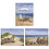 "Sand Beach Designs" 3-Piece Vignette by Opportunities, Gallery Wrap Canvas B06787152