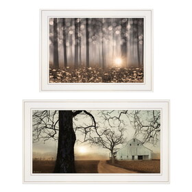 "Enchanted Sunrise" 2-Piece Vignette by Lori Deiter, White Frame B06787200