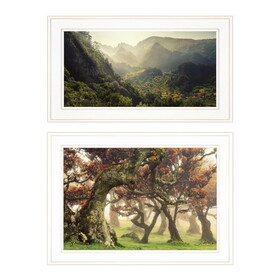 "The Land of Hobbits" 2-Piece Vignette by Martin Podt, White Frame B06787282
