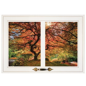 "First Colors of Fall I" by Moises Levy, Ready to Hang Framed Print, White Window-Style Frame B06787369