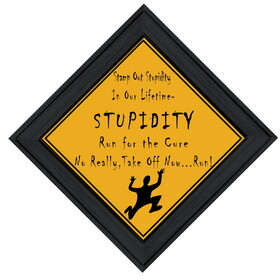 "Stupidity" by Trendy Decor 4U, Ready to Hang Framed Print, Black Frame B06787706