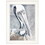 "Pelican" by Bluebird Barn, Ready to Hang Framed Print, White Frame B06787865