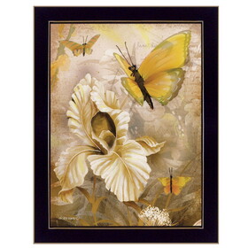 "Flowers & Butterflies I" by Ed Wargo, Ready to Hang Framed Print, Black Frame B06788051