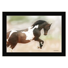 "A Wild Kookie" by Kari Brooks, Ready to Hang Framed Print, Horse Wall Art, Black Frame B06788090