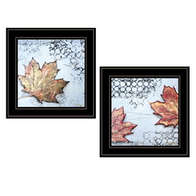 "Channeling Fall Leaves I & III" 2-Piece Vignette by Britt Hallowell, Ready to Hang Framed Print, Black Frame B06788252