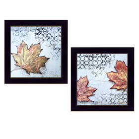 "Channeling Fall Leaves I & III" 2-Piece Vignette by Britt Hallowell, Ready to Hang Framed Print, Black Frame B06788253