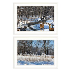 "Great Outdoors-Nature/Winter Forest" 2-Piece Vignette by Trendy Decor 4U, Ready to Hang Framed Print, White Frame B06788743