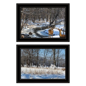 "Great Outdoors-Nature/Winter Forest" 2-Piece Vignette by Trendy Decor 4U, Ready to Hang Framed Print, Black Frame B06788745