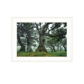 "Enchanted Forest I" by Martin Podt, Ready to Hang Framed Print, White Frame B06789248