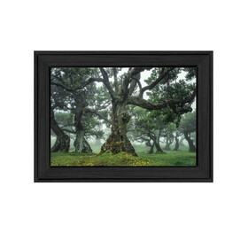 "Enchanted Forest I" by Martin Podt, Ready to Hang Framed Print, Black Frame B06789249