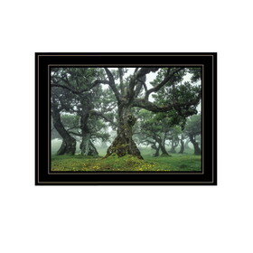 "Enchanted Forest I" by Martin Podt, Ready to Hang Framed Print, Black Frame B06789250