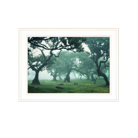 "Enchanted Forest II" by Martin Podt, Ready to Hang Framed Print, White Frame B06789252