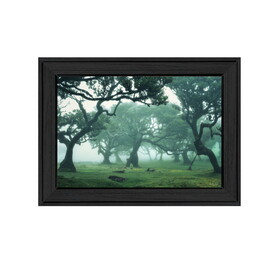 "Enchanted Forest II" by Martin Podt, Ready to Hang Framed Print, Black Frame B06789253