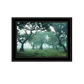 "Enchanted Forest II" by Martin Podt, Ready to Hang Framed Print, Black Frame B06789254