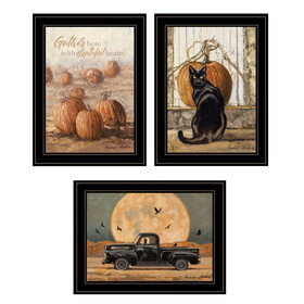 "Harvest Moon III" 3-Piece Vignette by Bonnie Mohr, Ready to Hang Framed Print, Black Frame B06789357