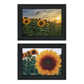 "Midwest Living Collection" 2-Piece Vignette by Donnie Quillen, Ready to Hang Framed Print, Black Frame B06789362