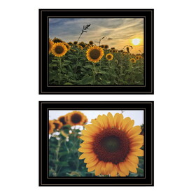 "Midwest Living Collection" 2-Piece Vignette by Donnie Quillen, Ready to Hang Framed Print, Black Frame B06789363