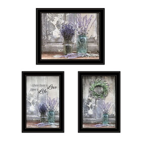 "Abundance of Beauty Collection" 3-Piece Vignette by Lori Deiter, Ready to Hang Framed Print, Black Frame B06789427