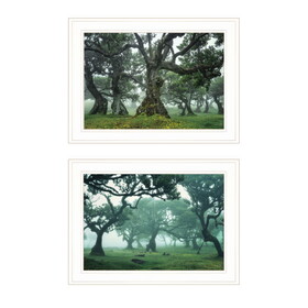 "Enchanted Forest Collection" 2-Piece Vignette by Martin Podt, Ready to Hang Framed Print, White Frame B06789442
