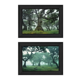 "Enchanted Forest Collection" 2-Piece Vignette by Martin Podt, Ready to Hang Framed Print, Black Frame B06789443