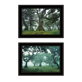 "Enchanted Forest Collection" 2-Piece Vignette by Martin Podt, Ready to Hang Framed Print, Black Frame B06789444
