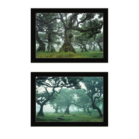 "Enchanted Forest Collection" 2-Piece Vignette by Martin Podt, Ready to Hang Framed Print, Black Frame B06789445