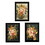 "Romantic Autumn" 3-Piece Vignette is by Artisan House Fenway, Ready to Hang Framed Print, Black Frame B06789661
