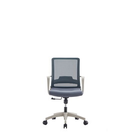 Alpha Office Chair, Fabric Seat, Fixed Armrest, Class Three Gaslift, Mesh -Black / Smoke B07092069