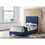 Glory Furniture Lodi G0409-TB-UP TWIN BED, NAVY BLUE B078107893