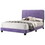 Glory Furniture Lodi G0502-QB-UP QUEEN BED, PURPLE B078107902