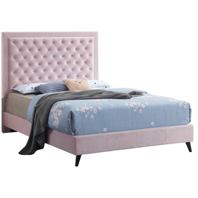 Glory Furniture Alba G0606-QB-UP QUEEN BED, PINK B078107924