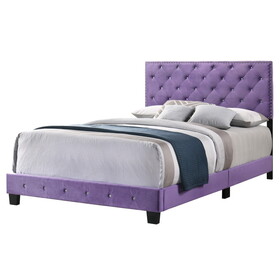 Glory Furniture Suffolk G1402-QB-UP Queen Bed, PURPLE B078108006