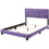 Glory Furniture Suffolk G1402-QB-UP Queen Bed, PURPLE B078108006