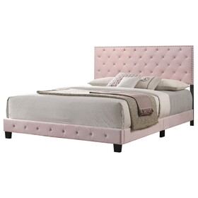 Glory Furniture Suffolk G1406-KB-UP King Bed, PINK B078108023