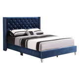 Glory Furniture Julie G1924-QB-UP Queen Upholstered Bed, NAVY BLUE B078118307