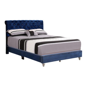 Glory Furniture Maxx G1943-FB-UP Tufted Upholstered Bed, NAVY BLUE B078118324